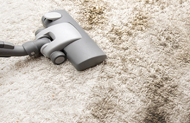 BEST CARPET CLEANING IN MONTREAL